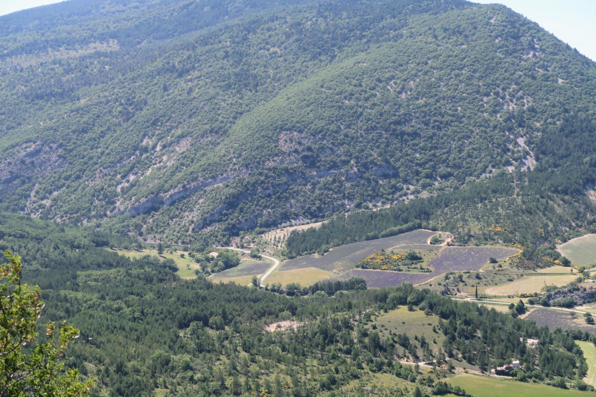 La Terrasse D'Olea, Au Coeur Du Village Buis-les-Baronnies Esterno foto